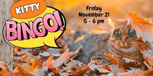 Kitty Bingo