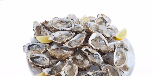 Oesterverkoop 23-12-25 Kluisbergen