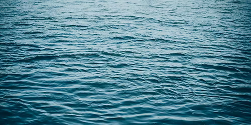 Humber Nature Forum: Connected Through Water