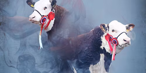 20th anniversary sale 