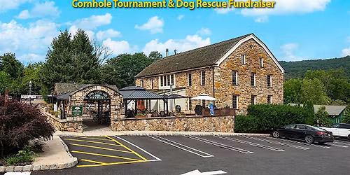 1st Annual Bags, Brews, & Barks Doubles Cornhole Tournament