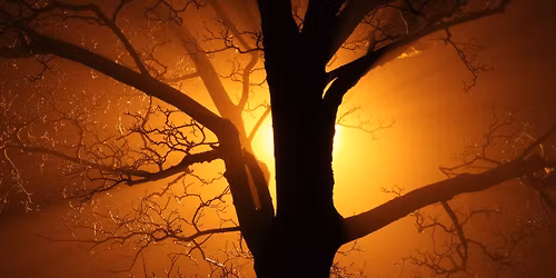 Konsert Domkyrkan: Requiem av Maurice Durufl\u00e9