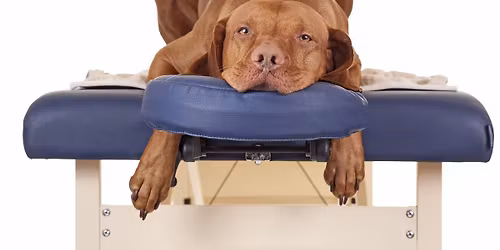 Chiropractic Day at Triune 