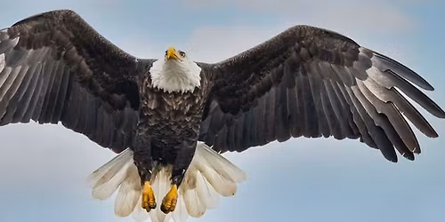 Eagle Watch Winter Trip