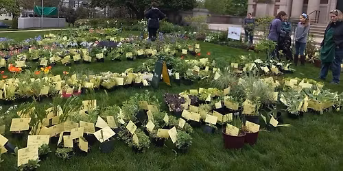 Milton Garden Club's Perennial Plant Sale 