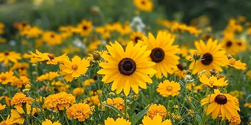 Pottery Class at Derry