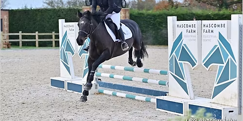 HDRC Unaffiliated Show Jumping