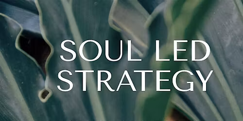 SOUL LED STRATEGY: Grow Your Wellness Business for More Impact and Income