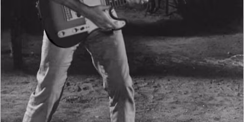 Wild Turkey Wednesday