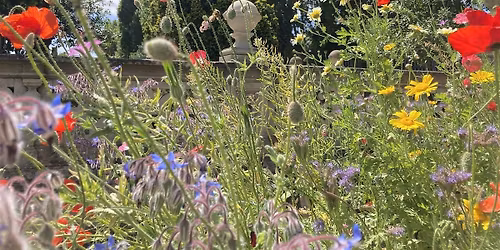 Let\u2019s Plant Together!