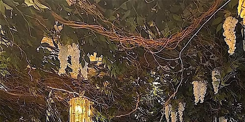 Levant Connect 2nd NYC Public Event