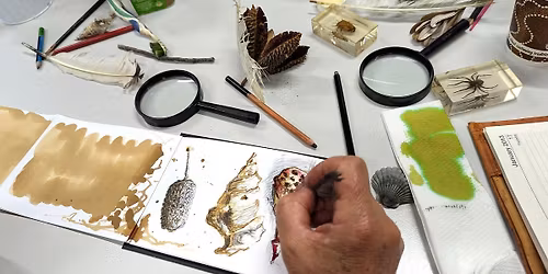 Nature journaling at IndigiScapes