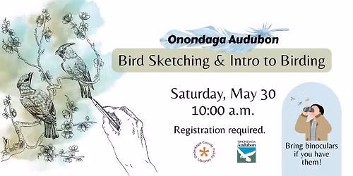 Onondaga Audubon: Bird Sketching & Intro to Birding