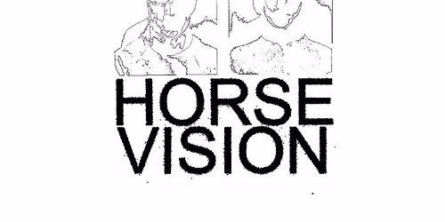 Horse Vision