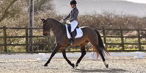 BKRC Open Dressage