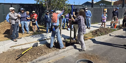 West Oakland  Tree Planting Season - Kickoff