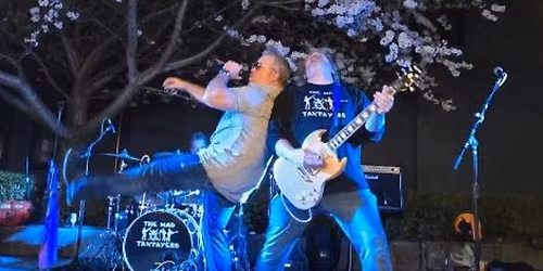 Dog Haus Biergarten Rocks!