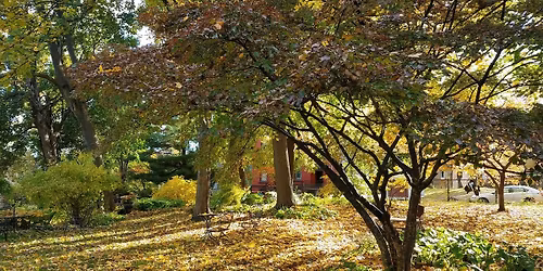 Fall Finds: Family Scavenger Hunt at the Ten Broeck Mansion