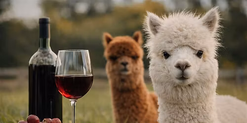 Wine Flights and Alpacas at CASACAMPO