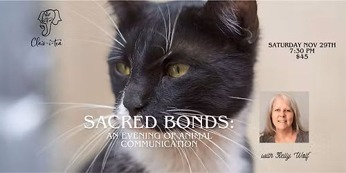 Sacred Bonds: An Evening of Animal Communication