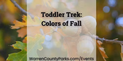 Toddler Trek: Colors of Fall