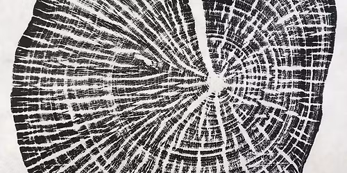 Tree Ring Wood Prints