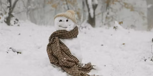 There's no business like snow business (family)