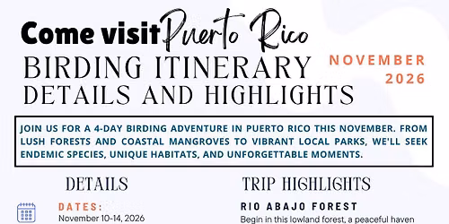 Birding tour of Puerto Rico