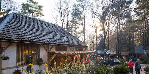 Christmas Trees & Winter Fayre