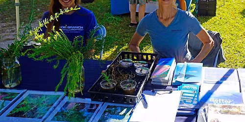 Ag -Xtension Fall Fest  Sponsorship