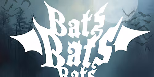 Bats Bats Bats