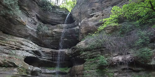 Summer Solstice Nature Hike