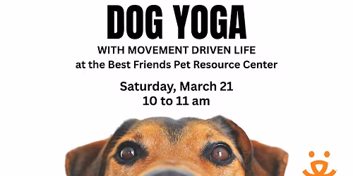 Dog Yoga with Movement Driven Life