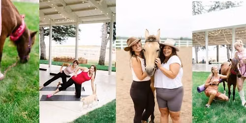 Sculpt, Saddle & Sip: Mat Pilates & Horses