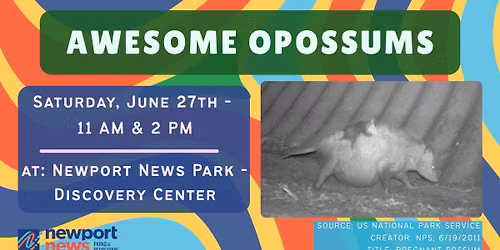 Awesome Opossums!