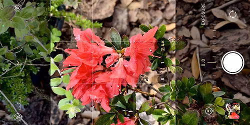 iPhone Photography - Beginner to Intermediate