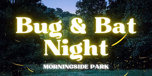 Bug & Bat Night at Morningside Park