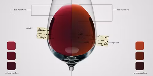 VEINIKLUBI- SÜGAV PUNANE / DARK RED 12.12