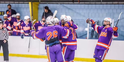 Charleston Cougars at Clemson Tigers Softball at McWhorter Stadium