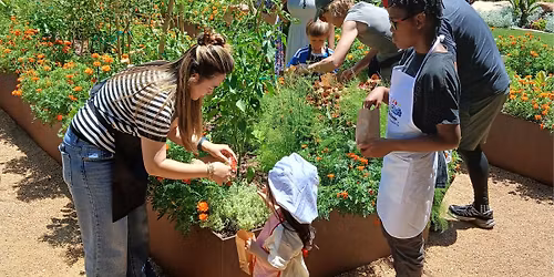 Family Workshop: Kid Chefs in the Garden \u2013 Vegan Pizza