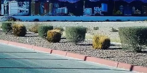 Peddlers Parking Lot Sale