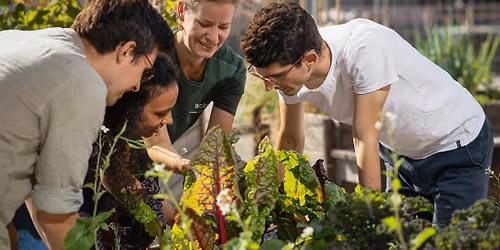 Urban Gardening Hacks - Gem\u00fcse in der Stadt anbauen