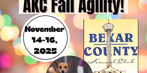 AKC Agility