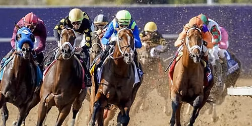 Night at the Races - Knights Club in Marysville