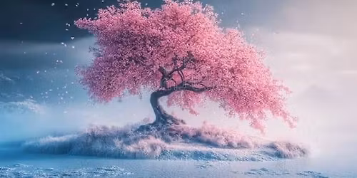 Ladies self discovery circle 