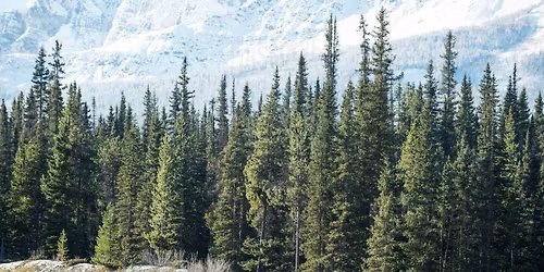 The Greening of the Church