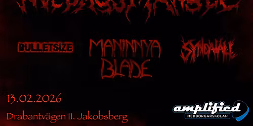 Maninnya Blade + Bulletsize + Syndafall Live @Klubb Fredagsmangel