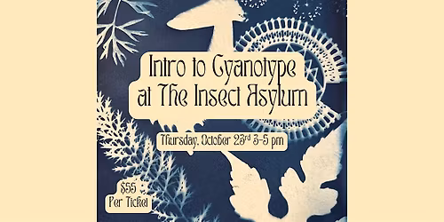 Intro to Cyanotype using REAL specimens!
