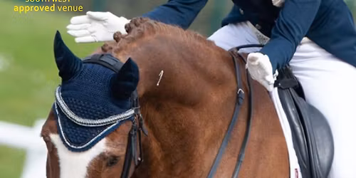 British Dressage