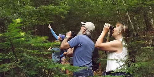 Discovery Series: Fall Bird Migration